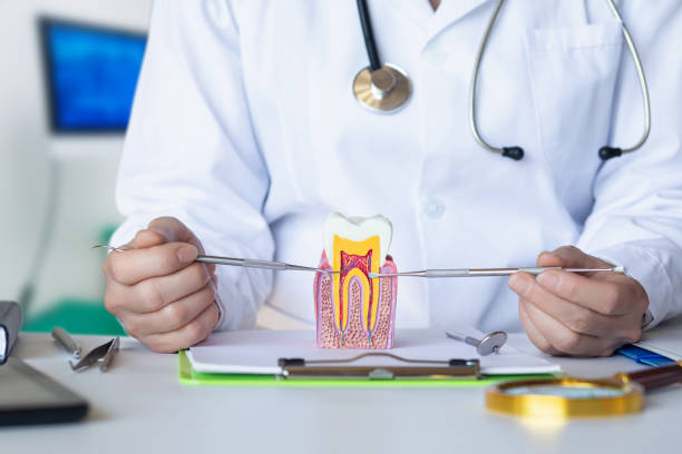 Best Pediatric Emergency Dentist in Forsyth, MT